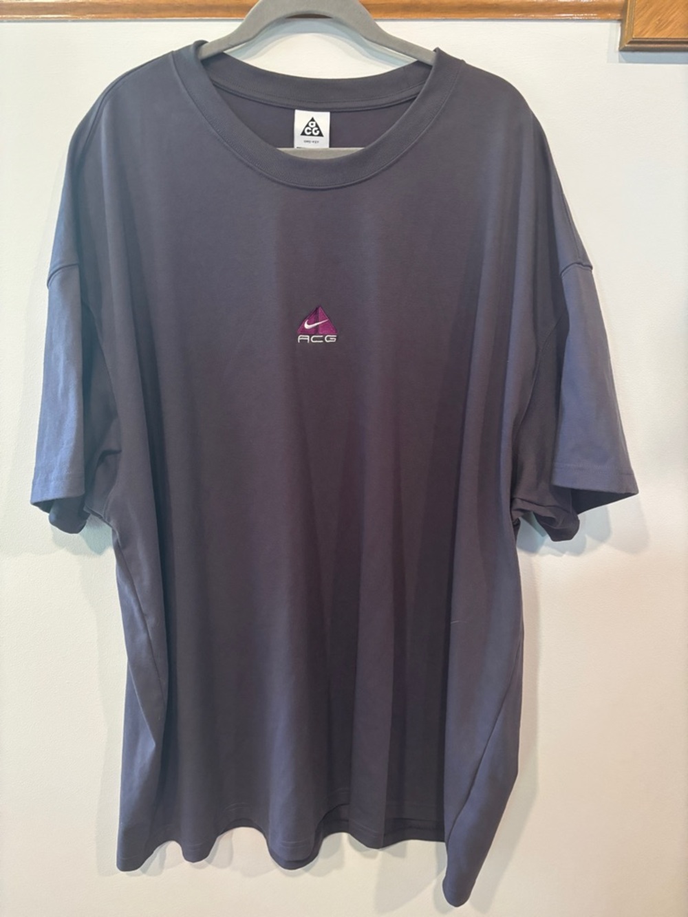 Nike ACG Men's Short-Sleeve Logo Tee in Charcoal with Purple Accent - Men’s 4XL
